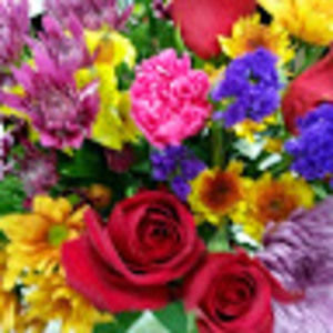 Meet your Posher, Beverly